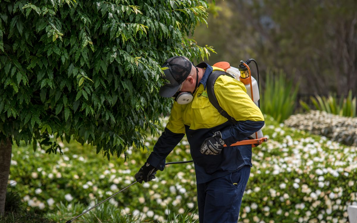 A Grolife crew member applying foliage spray to garden bed plants
