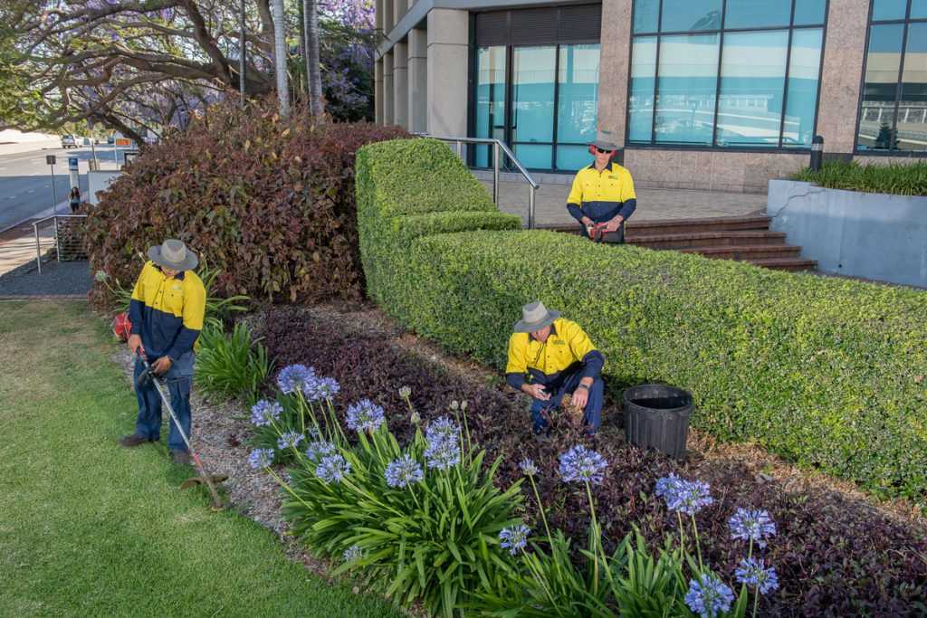 landscape maintenance