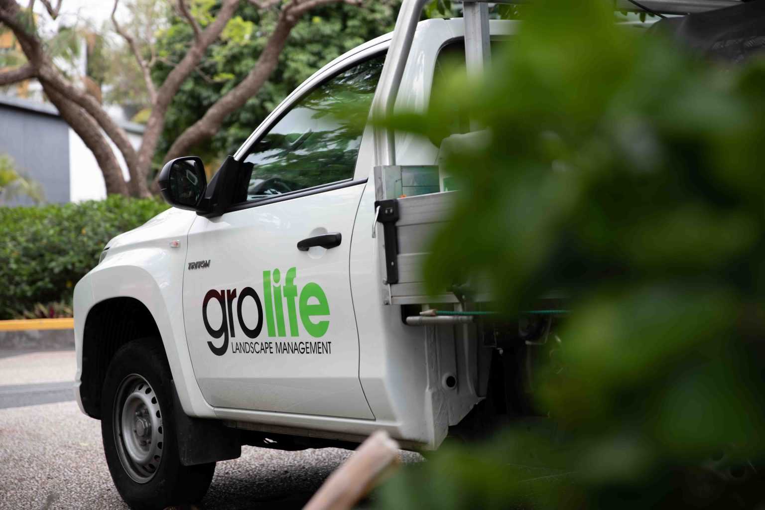 grolife car