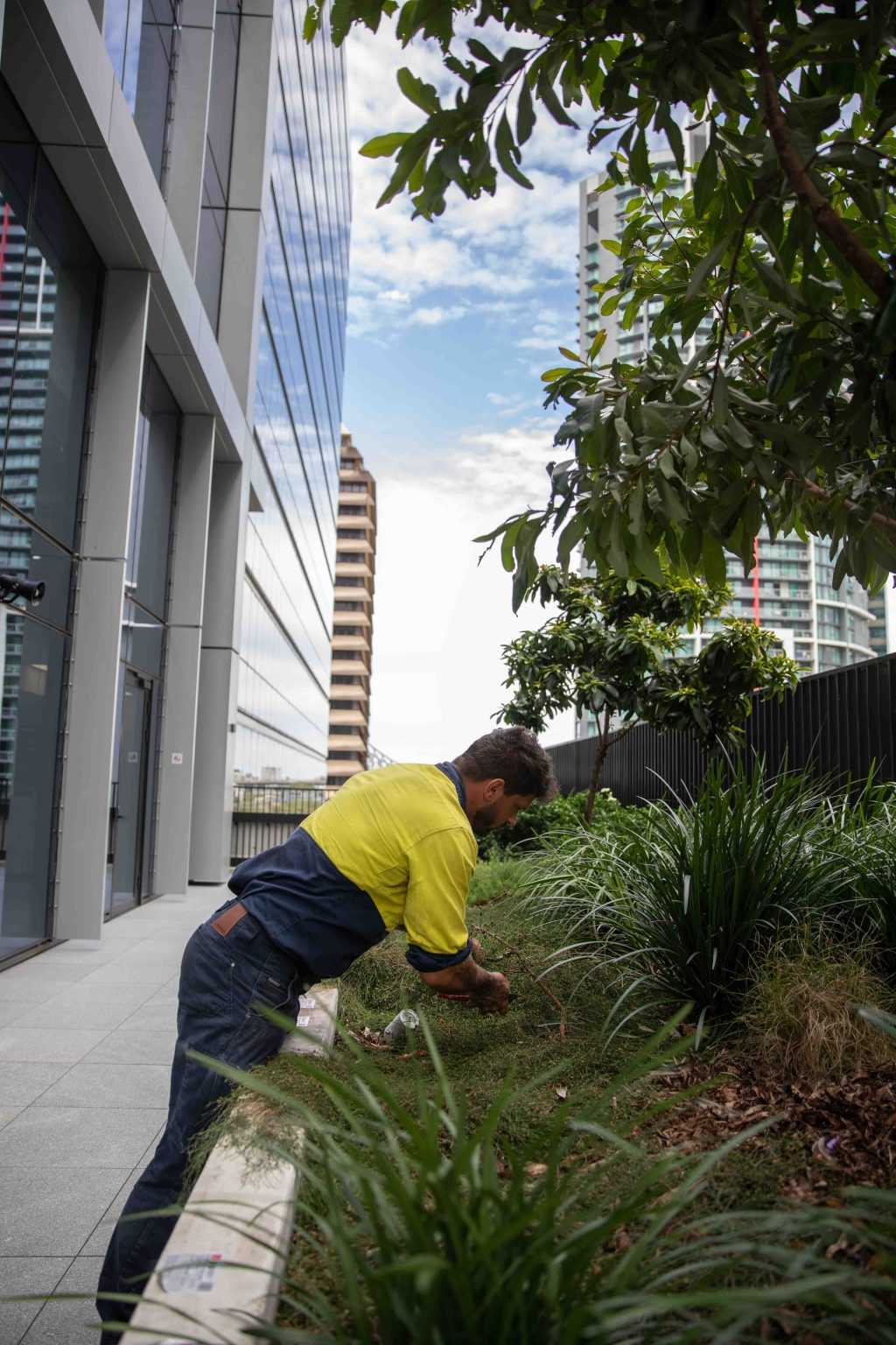 landscaping maintenance